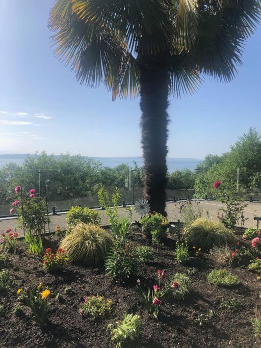 1-Bedroom Seaview Guesthouse On Seattle Luxury Estate With Views Of Olympic Mountains Eksteriør bilde