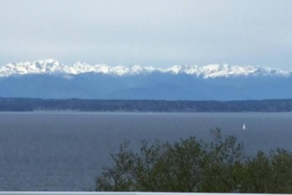1-Bedroom Seaview Guesthouse On Seattle Luxury Estate With Views Of Olympic Mountains Eksteriør bilde