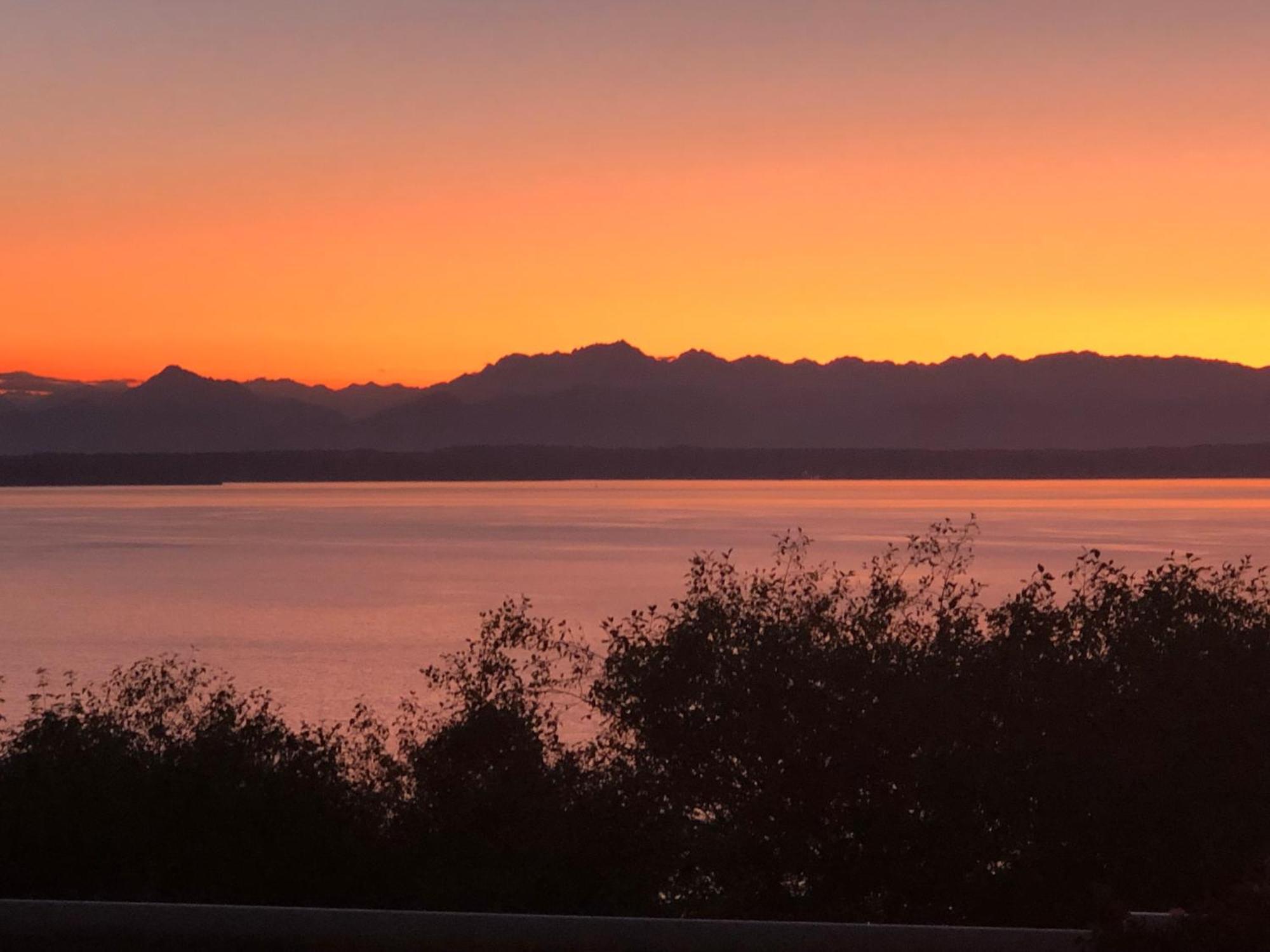 1-Bedroom Seaview Guesthouse On Seattle Luxury Estate With Views Of Olympic Mountains Eksteriør bilde